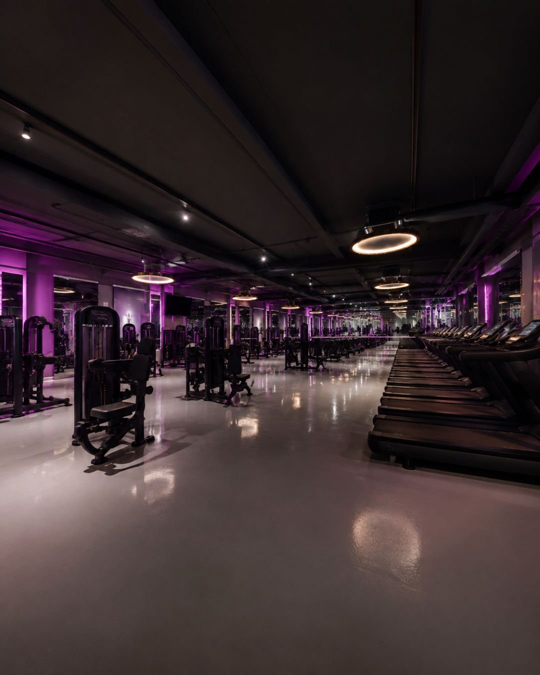 Équipements de musculation et de cardio